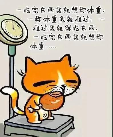 f2809a1af2b543ee8e2807cc4b38dfa5.jpg